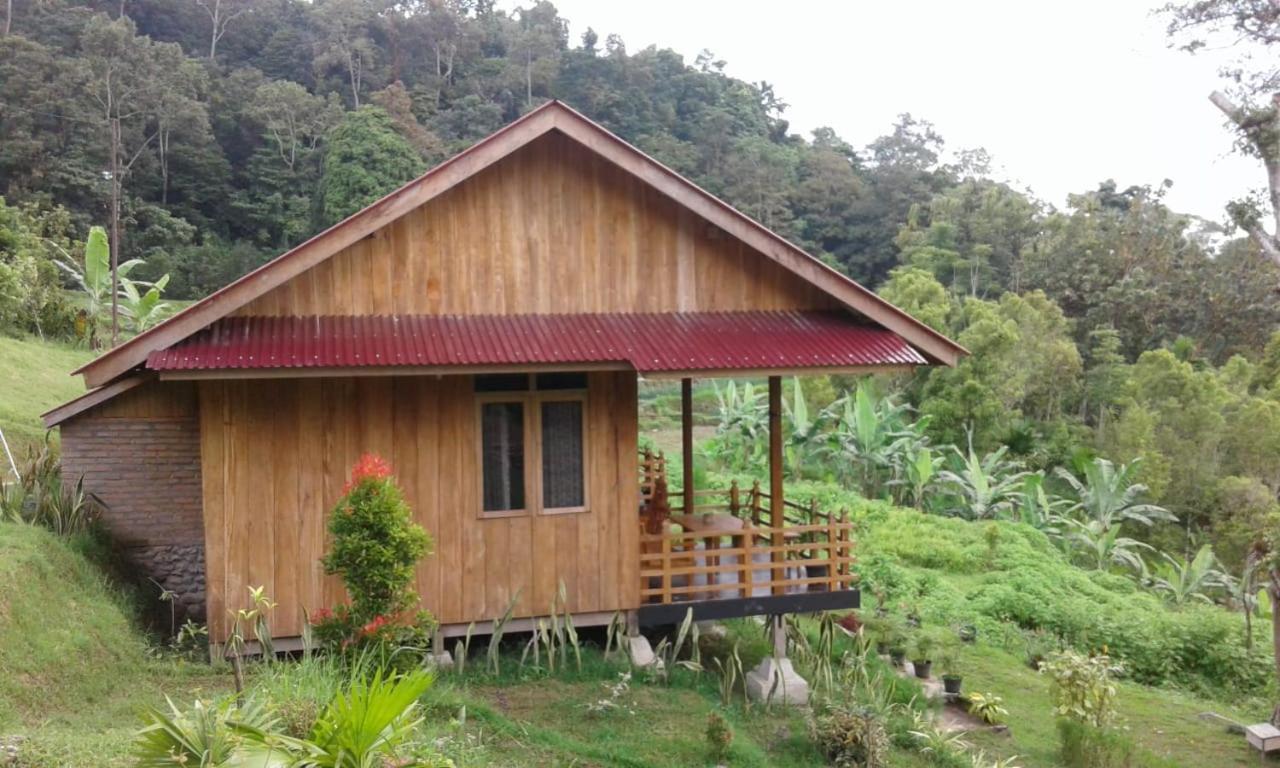 Bagoes View Cottages Maninjau Extérieur photo
